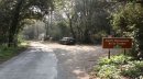 Entrée en forêt de la Coubre